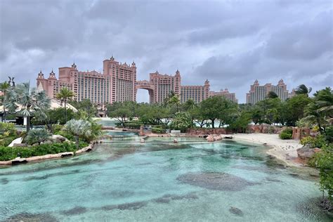 THE CORAL AT ATLANTIS .